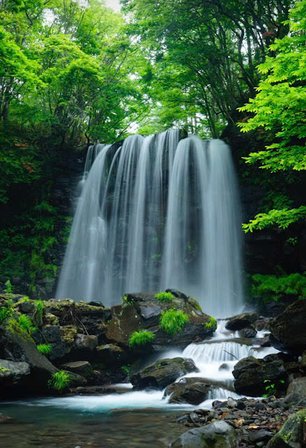 唐沢の滝