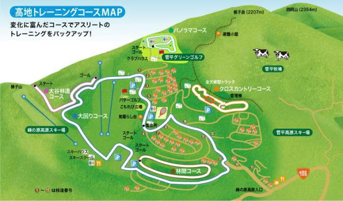 トレイルランコース